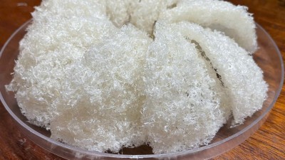 10 tác dụng của tổ yến đối với người già
