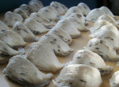 Tổ yến thô loại đặc biệt 50gr