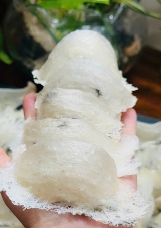 Tổ yến thô loại đặc biệt