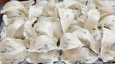 Tổ yến thô loại đặc biệt 100gr
