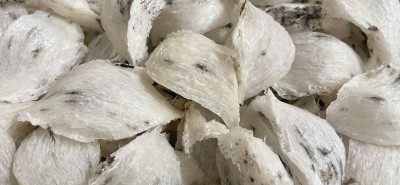 Tổ yến thô loại đặc biệt