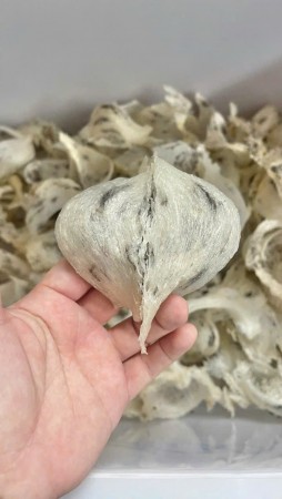 Tổ yến thô loại 1