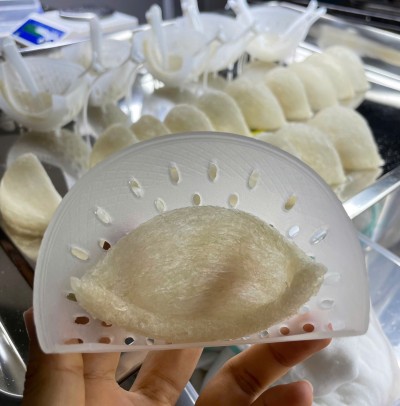 Yến sào định hình 5A xuất khẩu