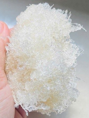 Tinh chế sơ mướp và sợi ngắn
