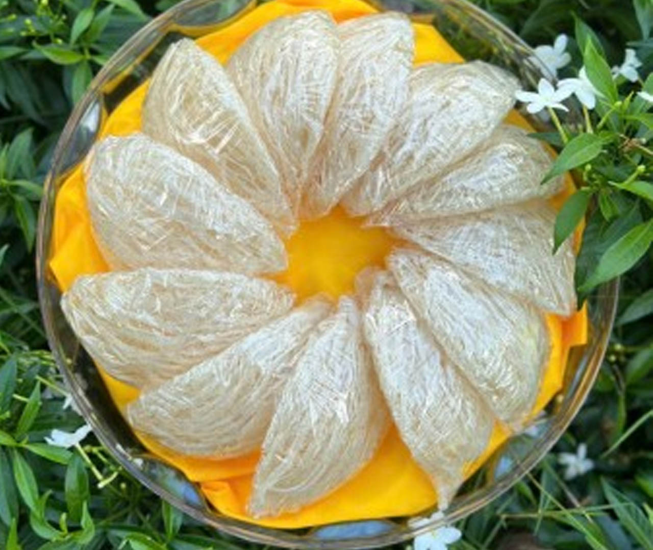 Yến sào tinh chế